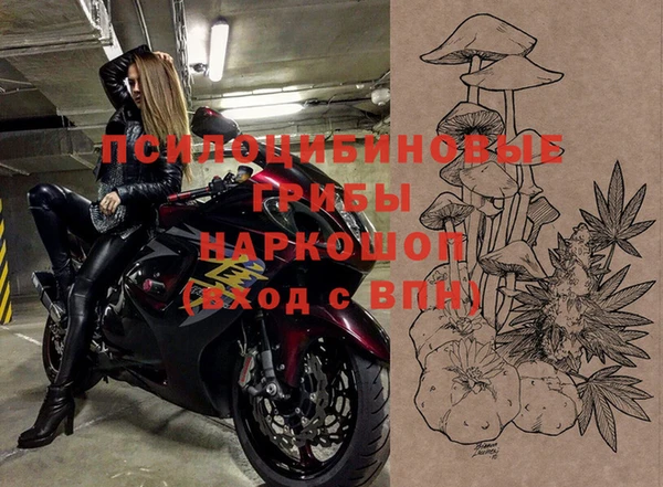 дмт Аркадак
