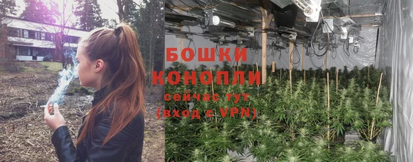 трава Баксан