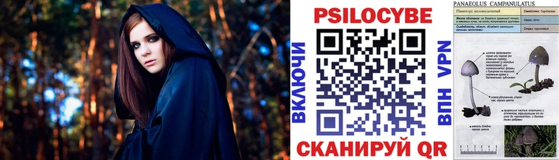 shop как зайти  Борисоглебск  Галлюциногенные грибы прущие грибы  купить  